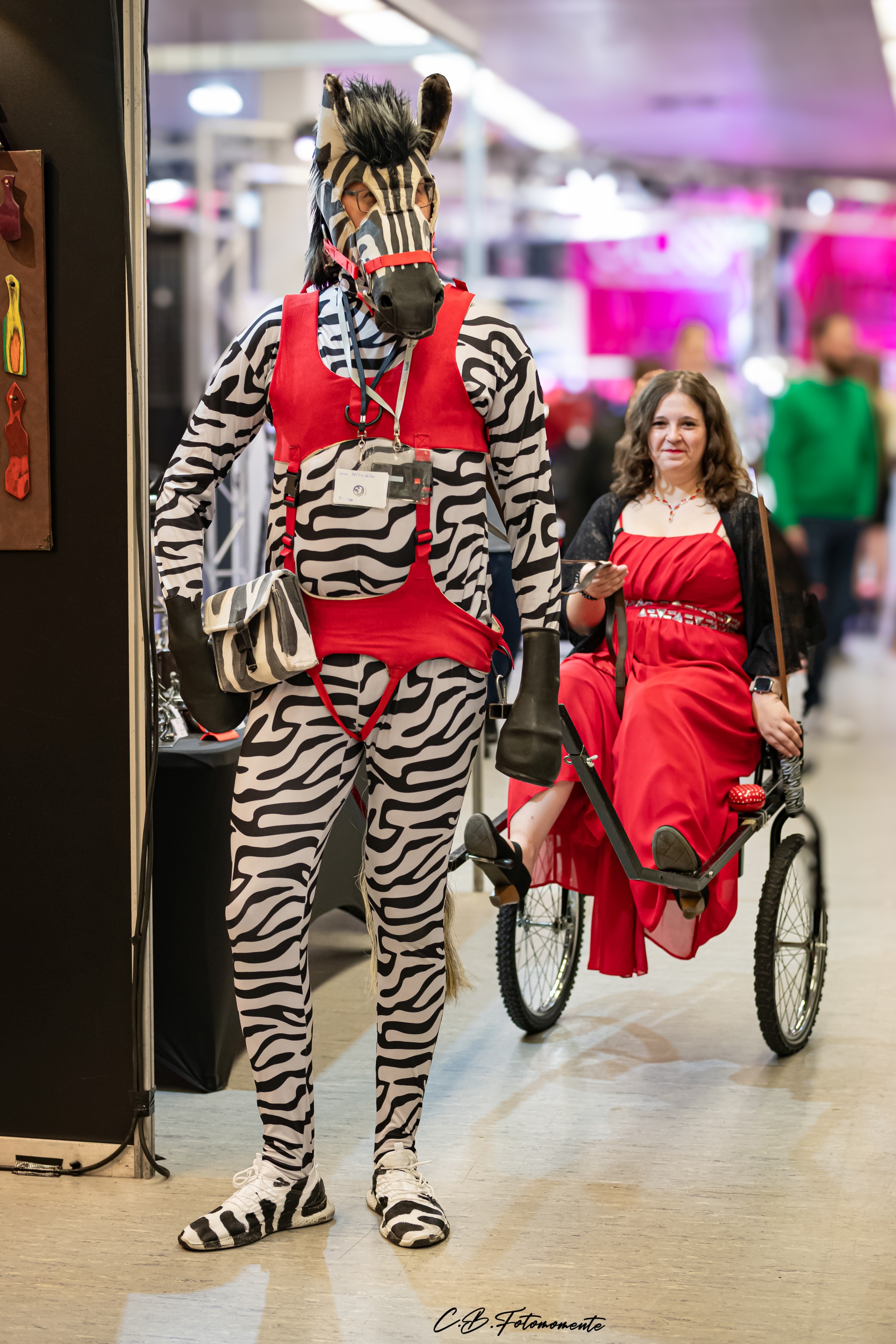 Ein Zebra auf der Passion Messe