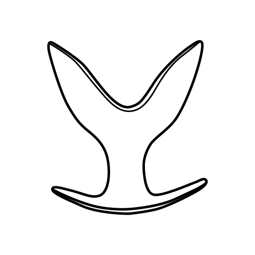 Analspreizer