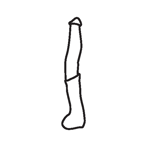 Pferde Dildo